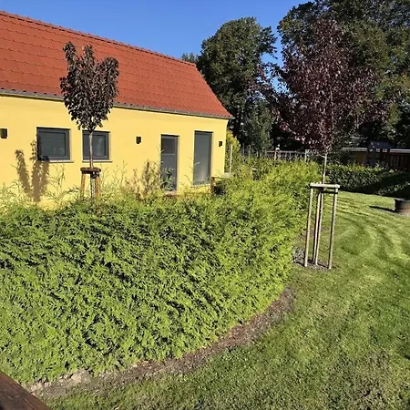 In With Swimming Pool